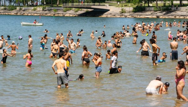Community Voices Addressing Challenges in Chicago’s Heat Wave Preparedness and Special Education Support