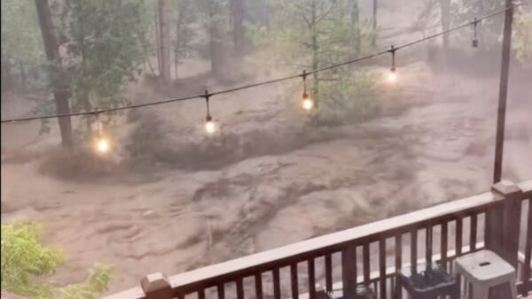 Tragic Flash Flood Claims Lives in New Mexico Village