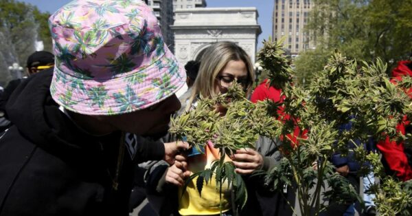 Shifting Attitudes Toward Marijuana Legalization: A Deep Dive into U.S. Perspectives