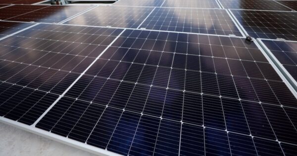 Call for Solar Energy Embrace Amid Concerns Over Utility Monopoly in Georgia