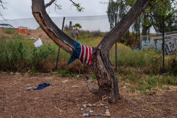 Civil War Predictions: Insights from Barbara Walter on America’s Political Divide