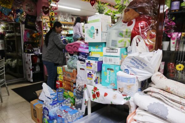 Volunteer Opportunities Amid Crisis: How Angelenos Can Make a Difference