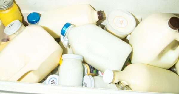 The Underworld of Raw Milk Delivery: Meet the Milk Guy Defying Federal Law