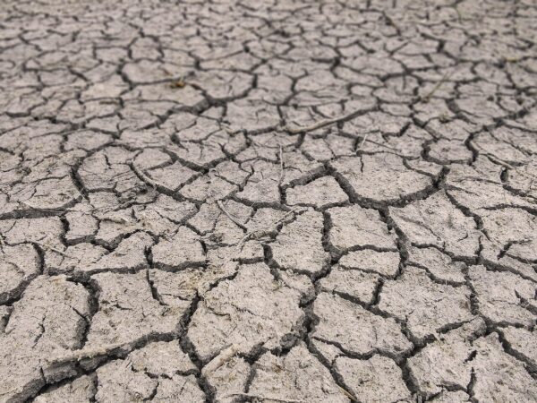 Seattle Faces Compounding Drought Conditions Amid Summer Heat
