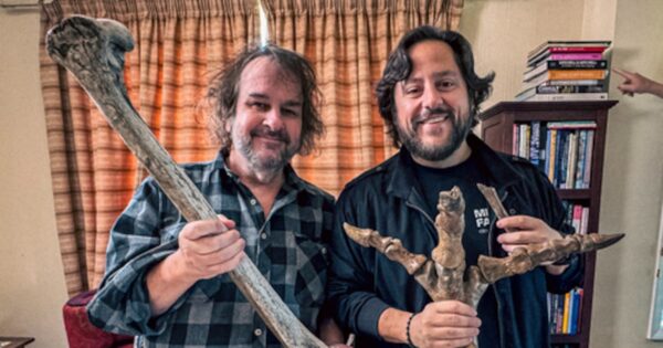 Peter Jackson Partners with Biotech Firm to Revive the Extinct Moa Bird