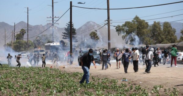 Federal Immigration Agents Conduct Sweeps at Southern California Cannabis Farms, Arresting 200 Workers
