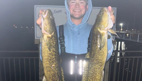Burbot Fishing Thrives in Illinois’ Lake Michigan: A Quixotic Quest Successful