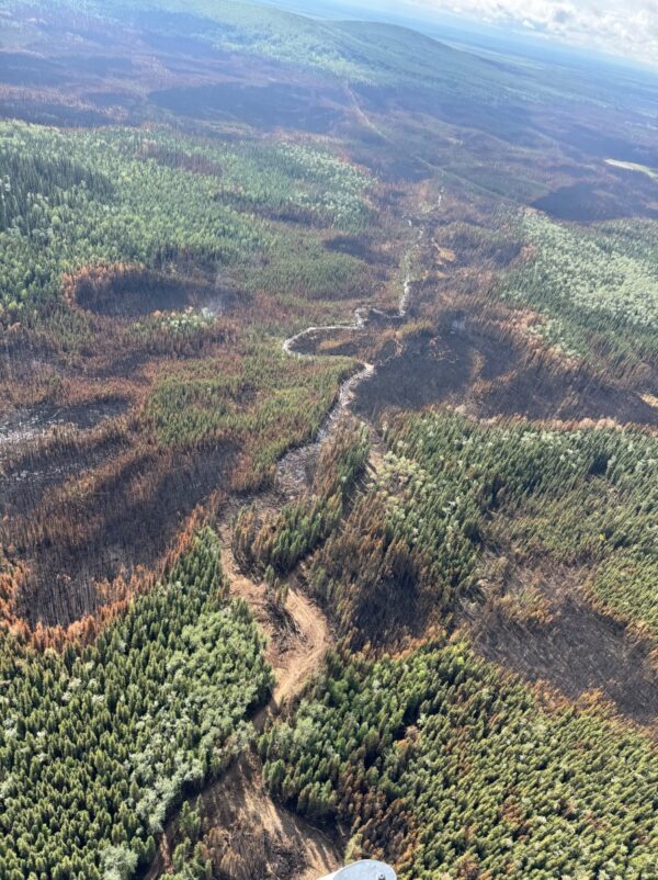 Wildfire Update: Bonanza Creek and Goldstream Creek Fires Prompts Evacuations and Community Meeting