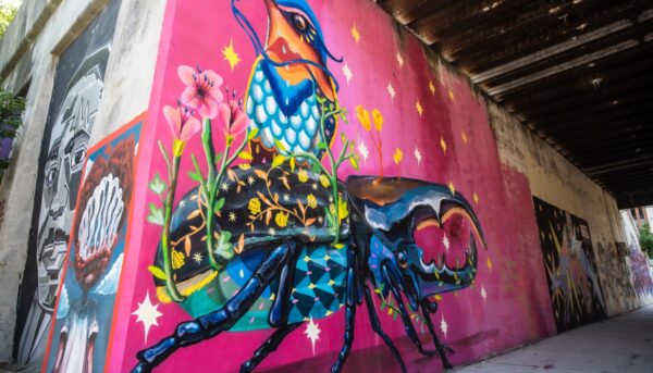 Controversy Erupts Over New Murals on Hubbard Street Retaining Walls