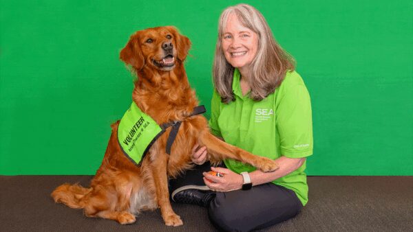 Keena the Therapy Dog Brings Joy to Travelers at Airports