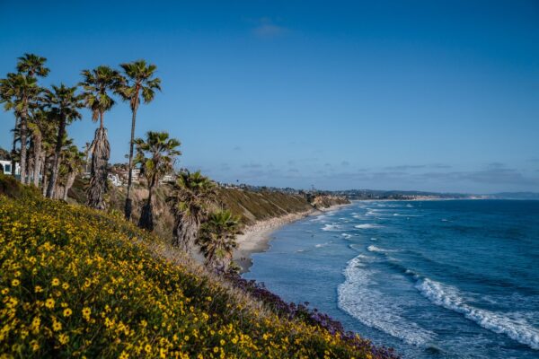 Encinitas: A Coastal Haven of Surf, Sustainability, and Community