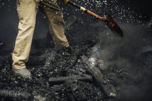 Circle Forestry Brings Innovative Biochar Solution to Forest Management and Soil Health