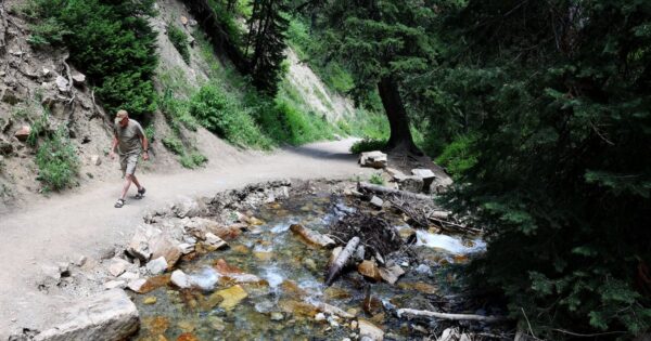 Efforts Underway to Mitigate Wildfire Risks in Big Cottonwood Canyon