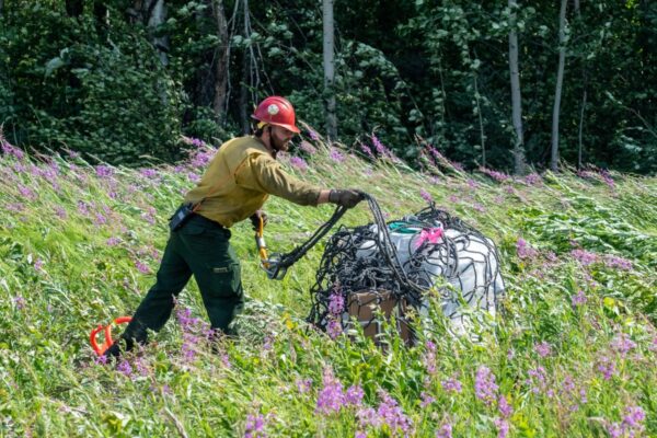 Alaskan Wildfires Prompt Evacuations and Increased Firefighting Efforts