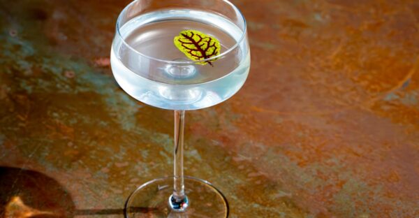 The Lychee Martini Makes a Dazzling Comeback, Transforming Cocktail Menus
