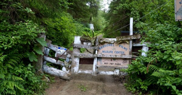 Investigation Launched After Raid at Kroschel Films Wildlife Center in Alaska