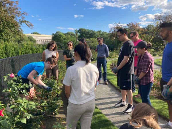 Free Summer Events and Activities in Boston: July 14-20