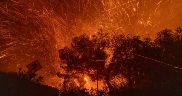 Tragic Losses Highlight Emergency Response Failures for Disabled Amid the Eaton Fire