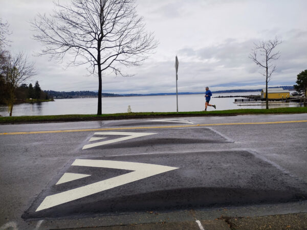 Seattle Parks and Recreation Halts Planned Traffic Calming Measures on Lake Washington Boulevard