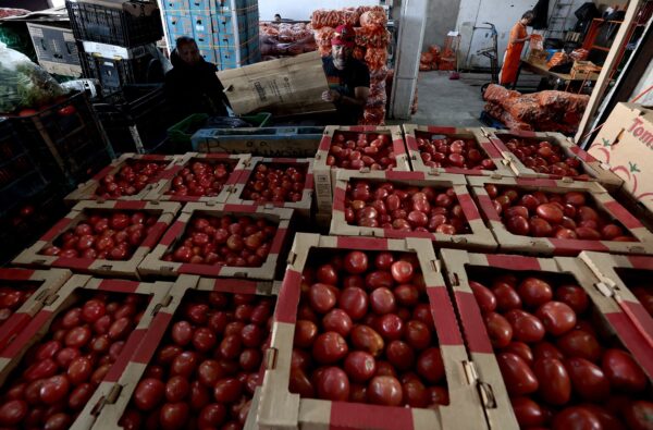 Tariffs on Mexican Tomatoes Spark Concerns Among U.S. Restaurant Owners