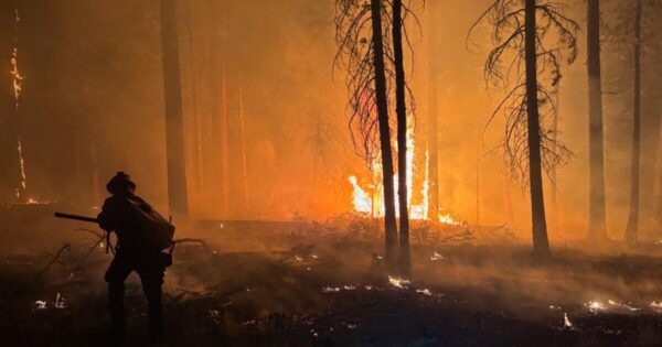 Arizona Governor Calls for Federal Investigation into Dragon Bravo Wildfire Management