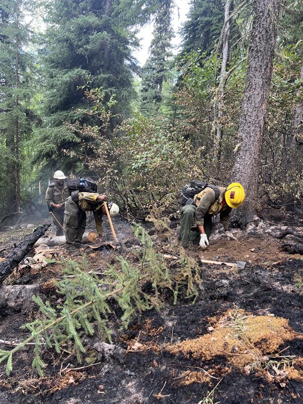 Fire Update: Bonanza Creek and Goldstream Creek Fires Impacting Areas in Alaska