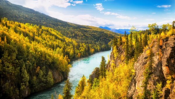 Discovering the Untamed Beauty of Kenai National Wildlife Refuge: Alaska’s Hidden Gem