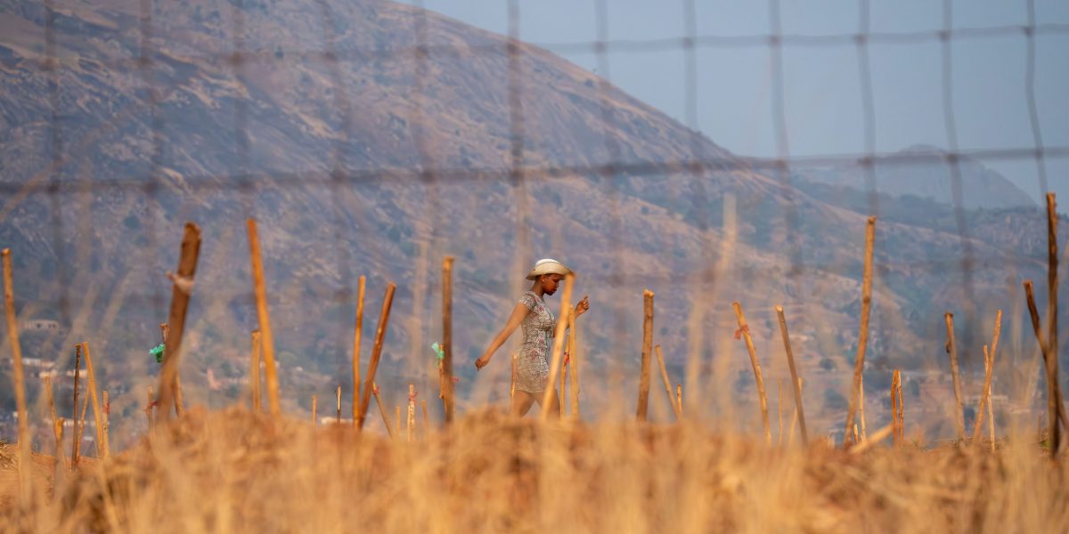 U.S. Expels Immigrants to Eswatini Amid Controversial Deportation Practices