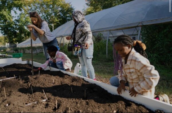 Explore Exciting Events in D.C. This Week: Music, Food, and Community Engagement