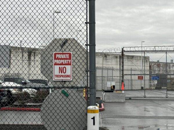 Federal Judge Orders Immediate Release of Asylum Seeker Detained after Court Hearing