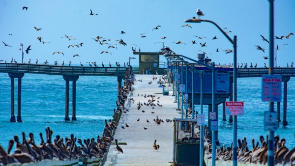Addressing San Diego’s Infrastructure and Community Challenges