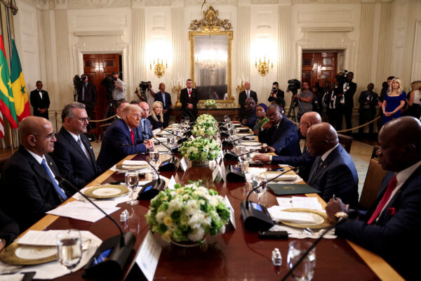 President Trump’s Africa Policy: Focus on Strategic Minerals and Security Challenges in the Sahel