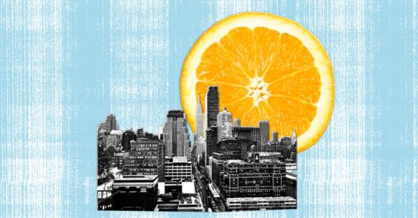 Zohran Mamdani Proposes Municipal Grocery Stores in New York City
