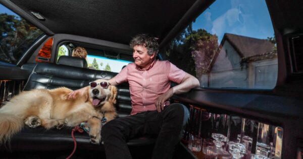 A Week of Wellness: Dug the Golden Retriever’s High-End Spa Experience in Los Angeles