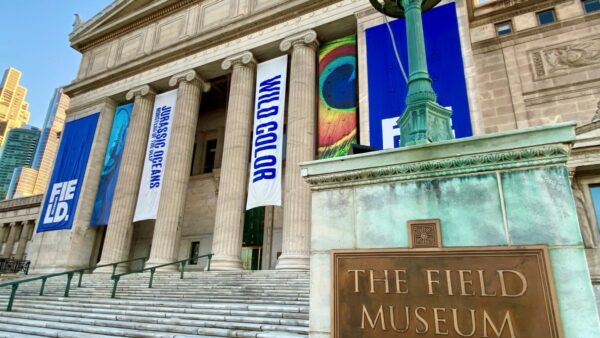 Explore Chicago’s Museums: Free Admission Days for Residents This Summer