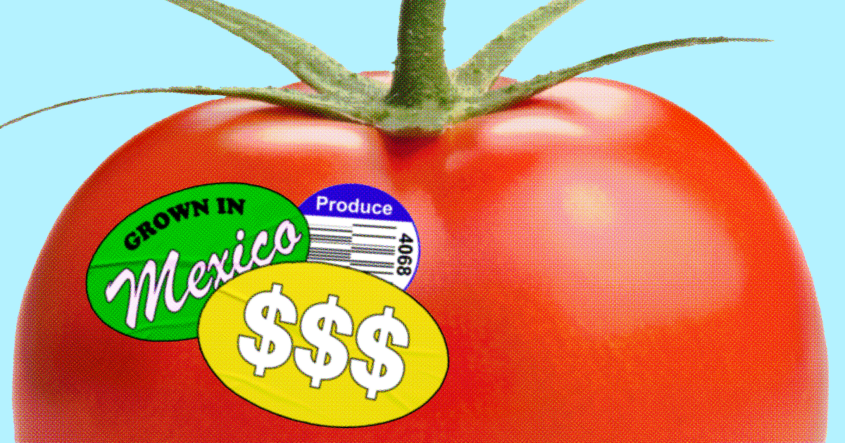 U.S. Tomato Trade Policy Shift Sparks Controversy Among Growers