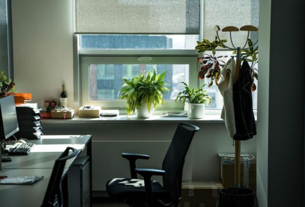 Navigating the Los Angeles Office Market: Tenants Share Insights on Their New Leases