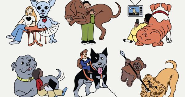 Discovering the Perfect Dog Breed for Every Angeleno