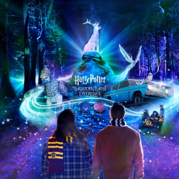 Harry Potter: A Forbidden Forest Experience Set to Enchant Chicago at Camp Duncan