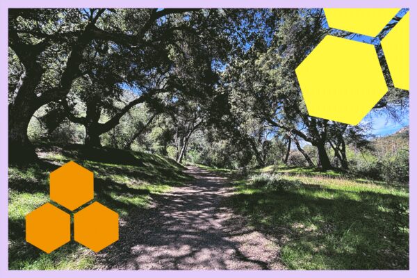 Finding Shady Hikes in L.A.: A Guide to Planning Your Summer Adventures