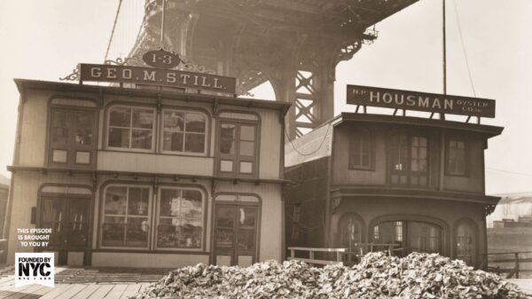 The Return of Oysters to New York Harbor: A Tale of Restoration and Community