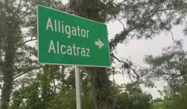 Florida’s ‘Alligator Alcatraz’: A Controversial Immigration Detention Center in the Everglades