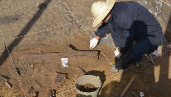 Ancient Tools Found in East Asia Revolutionize Understanding of Early Hominins