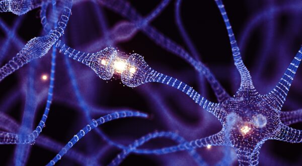 New Evidence Reveals Adult Human Brains Can Generate New Neurons