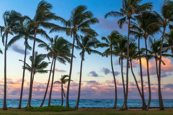 Kauai: The Unexpected Hawaiian Gem That Captivated a Lifelong Maui Fan