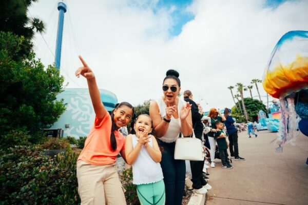 Experience the Magic of Summer at SeaWorld San Diego: A Must-Visit Destination