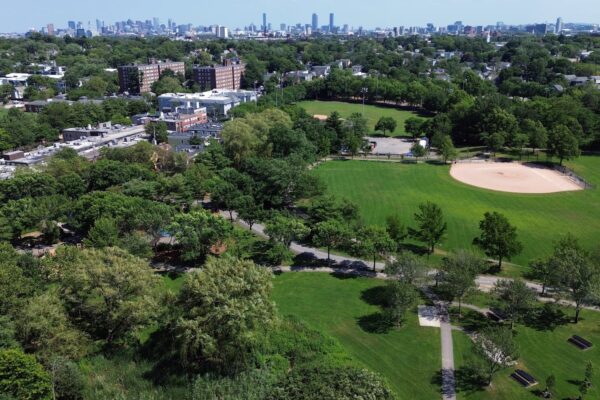 Danehy Park Celebrates 35 Years of Transformation from Landfill to Urban Oasis