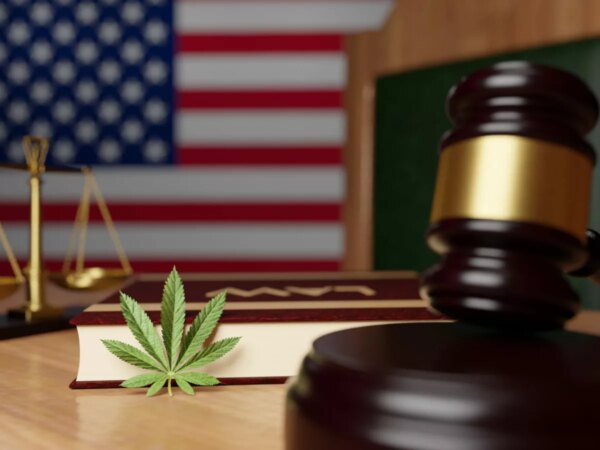 DC Xtracts: A Commitment to Quality and Integrity in Cannabis Extracts
