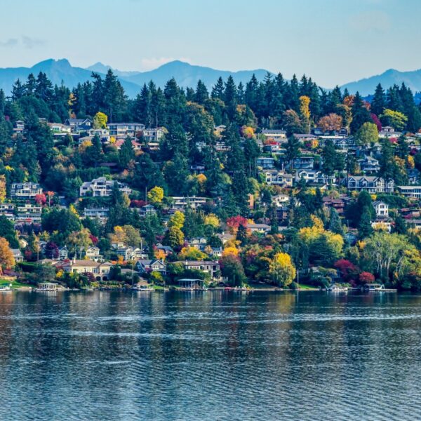 Discover Bellevue: A Culinary and Cultural Gem in Washington State