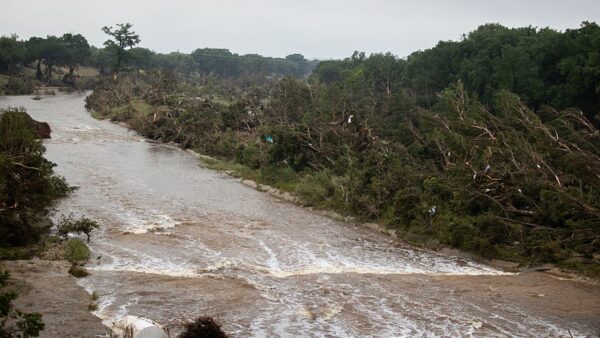 Austin Fire Chief Accused of Neglect Amid Flood Crisis